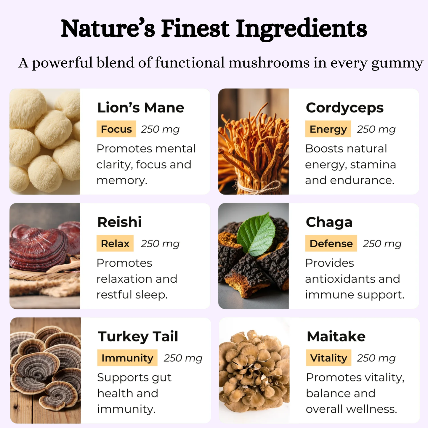 Beautiqe™ Mushroom Gummies - Daily Focus + Immunity Care