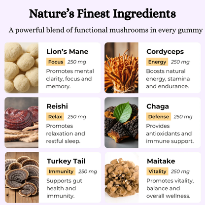 Beautiqe™ Mushroom Gummies - Daily Focus + Immunity Care