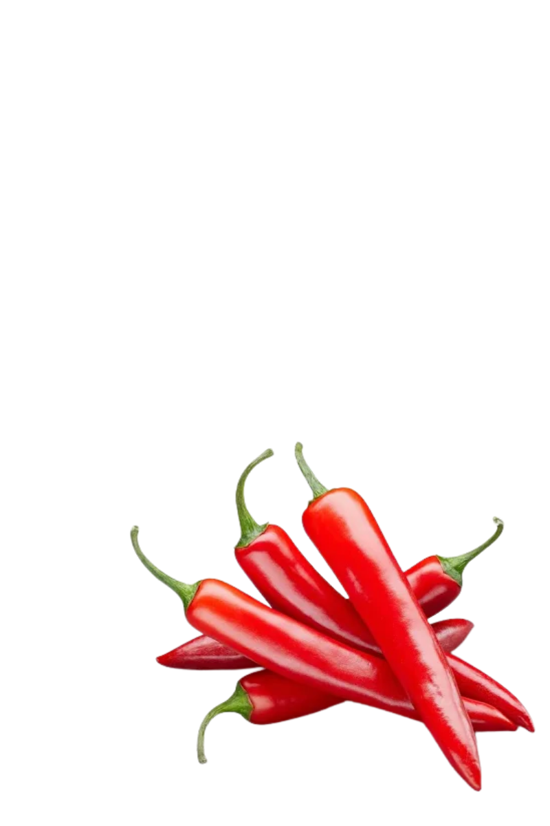 CHILLI PEPPERS